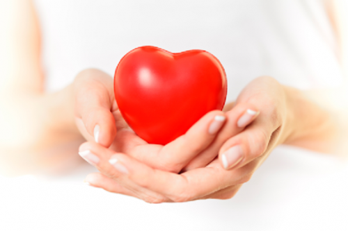 tác dụng của đông trùng hạ thảo đối với tim mạch